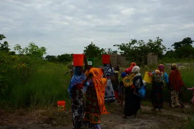 DSC_9605 (Large).JPG